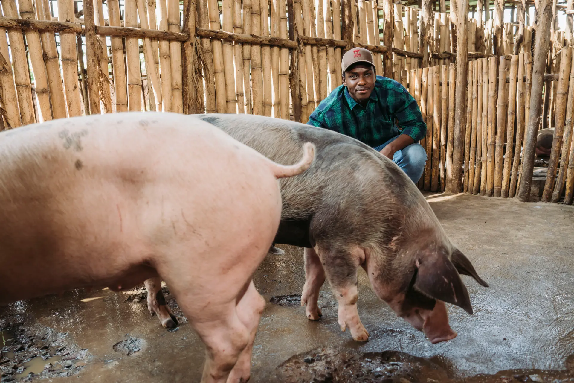 ThePorkHouse111.webp